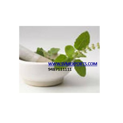 India dry tulsi leaf